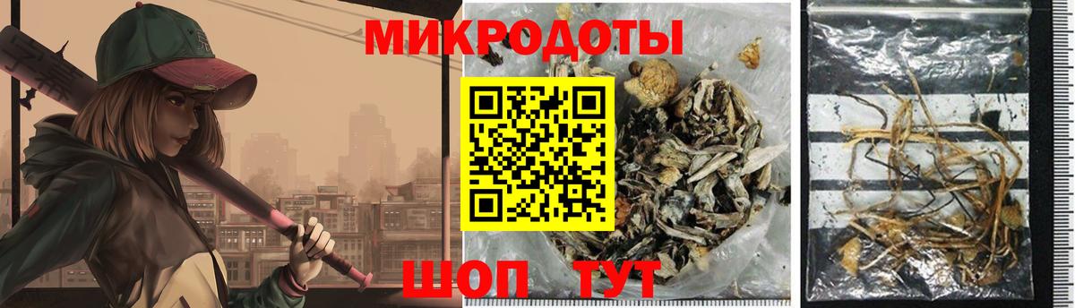 Псилоцибиновые грибы MAGIC MUSHROOMS Чехов